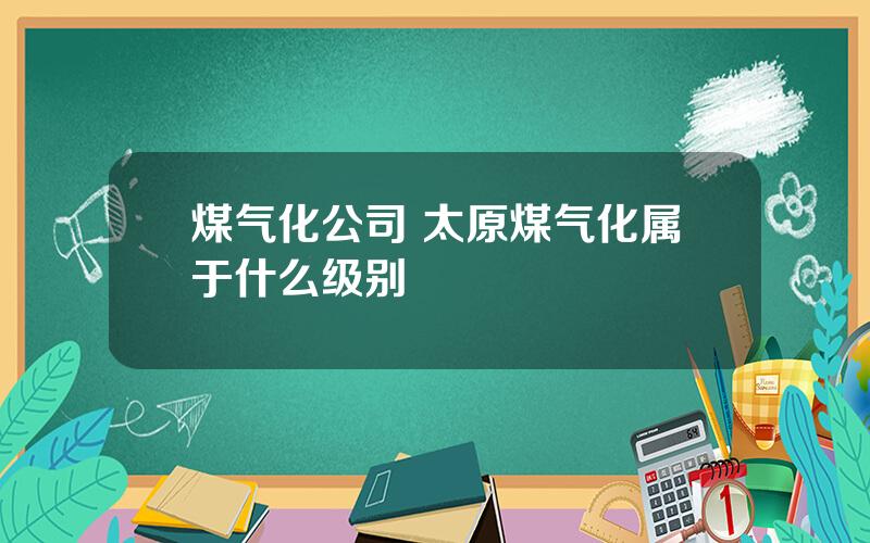 煤气化公司 太原煤气化属于什么级别